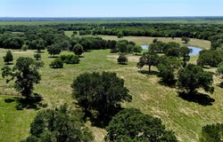 1053 ACR 499, Athens, TX 75751