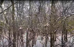 Vacant Heiden Avenue, Crest Hill, IL 60403