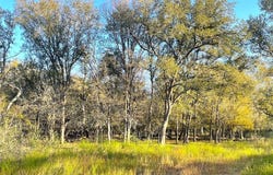 highway 304, Gonzales, TX 78629