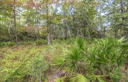 Harbour Trace lot: 77, Freeport, FL 32439