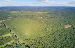 Summers Drive, Ridgeville, SC 29472