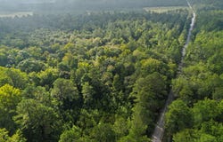 Tree Farm Road, Walterboro, SC 29488