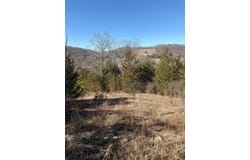 9406 Heiskell Rd, Heiskell, TN 37754