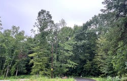 6 Wilderness Lane, Lancaster, SC 29720
