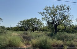 Mulberry, Colorado City, TX 79512