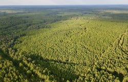 0 Neely Avera, Neely, MS 39461
