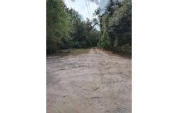 13388 160th Pl, McAlpin, FL 32062