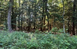 Cod Creek Drive lot: 14, HEATHSVILLE, VA 22473