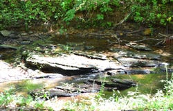 1002 CHEAHA ROAD, MUNFORD, AL 36268