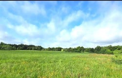 George Wachel Rd., Bremond, TX 76629