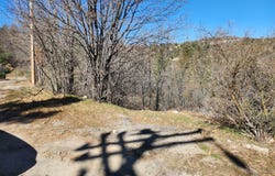 Elder Drive, Lake Arrowhead, CA 92321