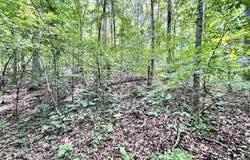 Red River Road, Fox, AR 72051