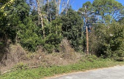 Jones Circle, Bishopville, SC 29010