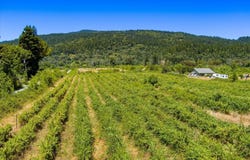 Carpenter Lane, Hoopa, CA 95546