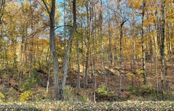 24 Beck Road, Poughkeepsie, NY 12601
