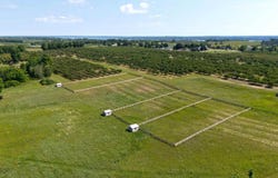 8255 Angell Road, Williamsburg, MI 49690