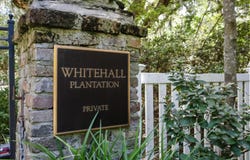 Whitehall Ave. lot: 5, Georgetown, SC 29440