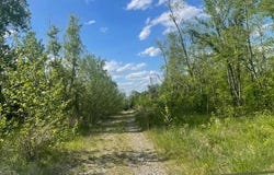 Rt 62 Road, Millwood, WV 25262