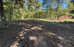17 Shetlerville Rd, Golconda, IL 62938