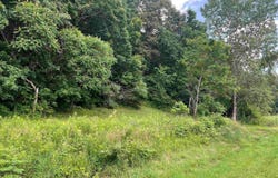 Hwy 82, Union, WI 54639