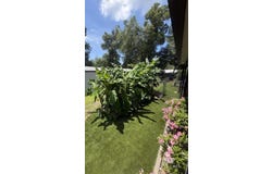 1620 Del Rey Drive, Lillian, AL 36549