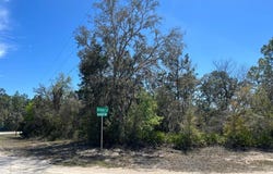 NORTHWEST Avenue lot: #32, WEBSTER, FL 33597