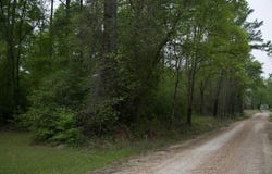258 Hearne Rd, Corrigan, TX 75939