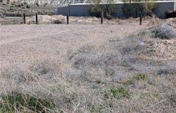 Deck St. (1.01 Acres), Panaca, NV 89042