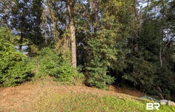 Montrose Woods Drive, Fairhope, AL 36532