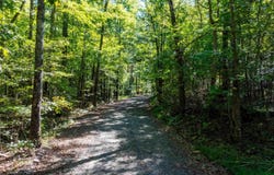 River Road, Shirley, AR 72153