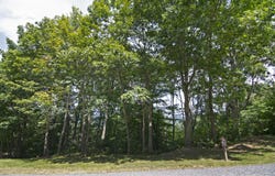 White Rock Trail, Caldwell, WV 24925