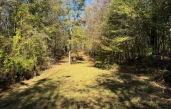 2014 Sanders Lane, Utica, MS 39175
