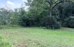 8 Lot E Purvis, Geneva, AL 36340