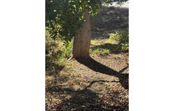 1854 Grove Road, El Cajon, CA 92020
