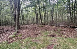 A50 Sage Road, Blakeslee, PA 18610