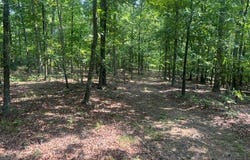 County Road 341, Piedmont, MO 63957
