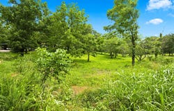 Cedar Cove Road, Branson West, MO 65737