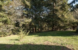 Worthington Drive, Humboldt Hill, CA 95503