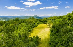 2673 Raines Rd, Wolfcreek, WV 24983