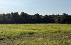 Highway 77, PARIS, TN 38242