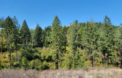 LONE RANCH RD, DANVILLE, WA 99121