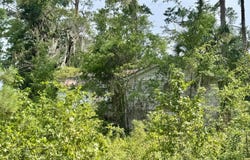1204 2ND ST NW, Jasper, FL 32052