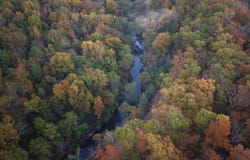 Black Hill Road, Bee Branch, AR 72013