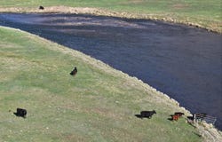 65061 Highway 64, Meeker, CO 81641