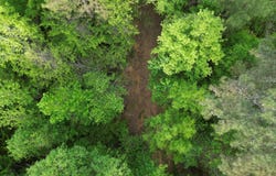DOGTOWN Rd, Carbon Hill, AL 35549