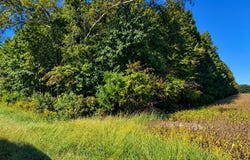 LANKFORD HWY, ACCOMAC, VA 23301
