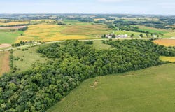 40 +/- Acres Highway 81, Argyle, WI 53504