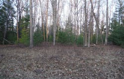 V/L Lot 21 Indian Oaks Trl, Prudenville, MI 48651