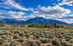Valencia Road, El Prado, NM 87529