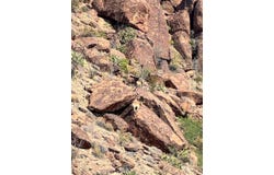 TR 174 Gate 2 Road, Terlingua, TX 79852